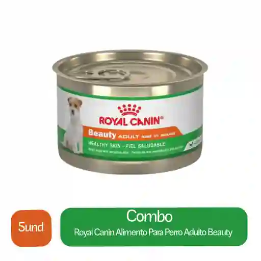 5 x Royal Canin Alimento Para Perro Adulto Beauty