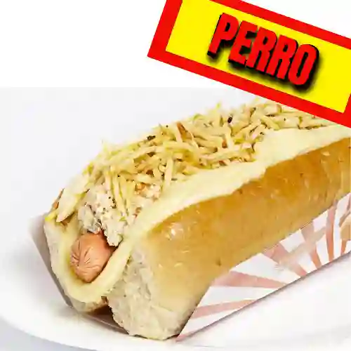 Perro