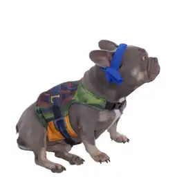 Fantastic Night Disfraz de Tortuga Ninja Talla M