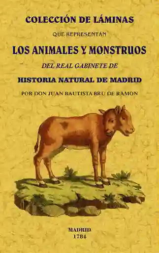 Colección de Láminas Que Representan Los Animales