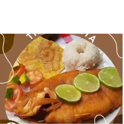 Tilapia Frita