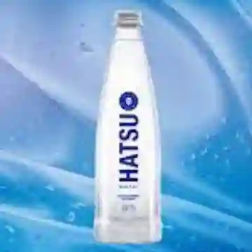 Hatsu Sin Gas 300 ml