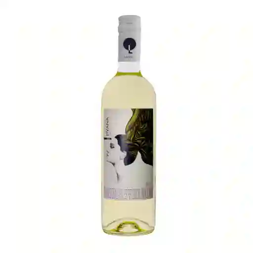 Livana Vino Blanco Sauvignon Blanc