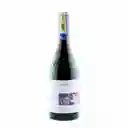 Cono Sur Vino Pinot Noir