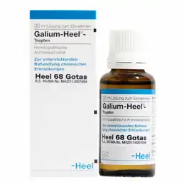 HEEL Galium Gotas 30 Mililitros