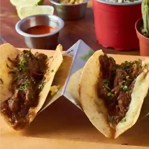 Taco de Birria