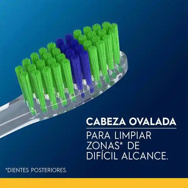 Oral-B Cepillo de Dientes Indicator Con Cerda Inteligente