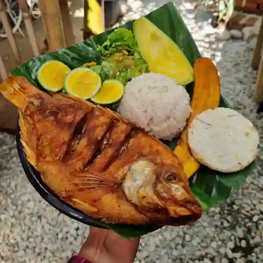 Mojarra cachetona en leña