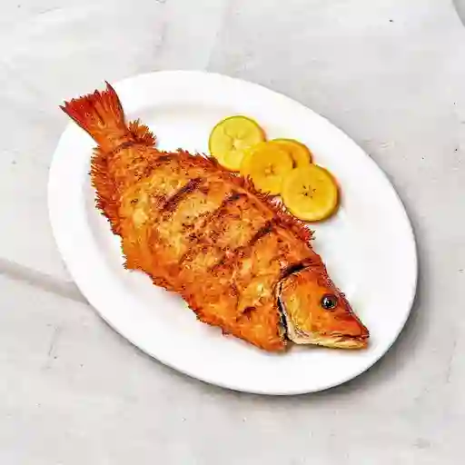 Pargo Rojo