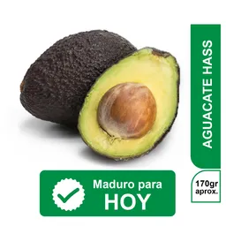 Aguacate Hass Para Hoy EC