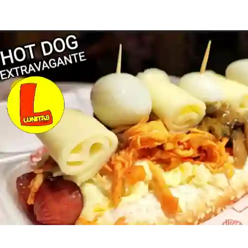 Perro Extravagante