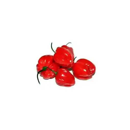 Ají Rocoto - Fruttivos