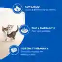 Comida para gatitos Purina Cat Chow x 1,5kg