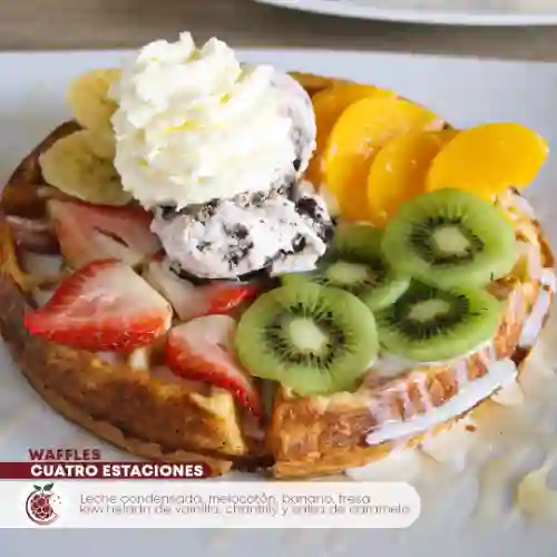 Waffle 4 Estaciones