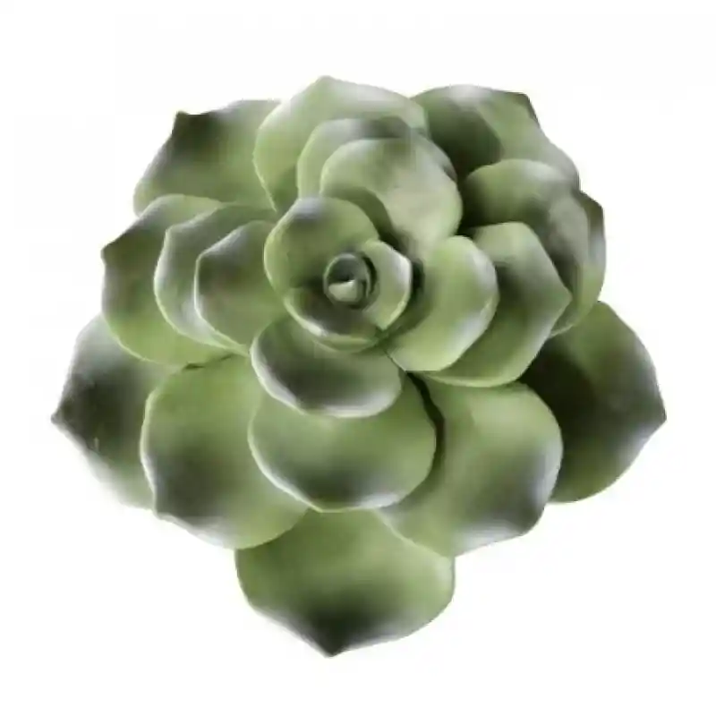 Decoración de Pared Suculenta de Poliresina 8 Pulgadas.. Color Verde. Sku 613460543958