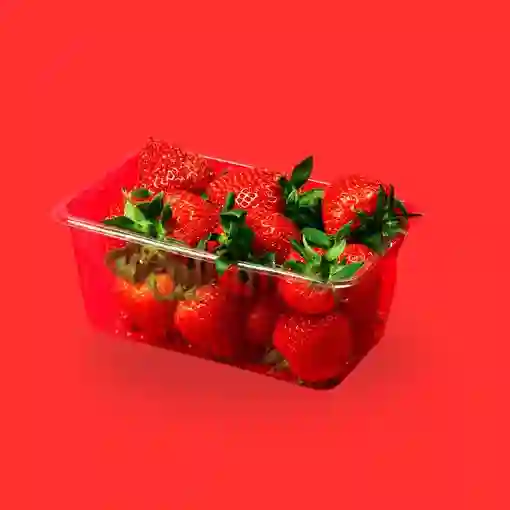 Fresas Premium - Fruberries