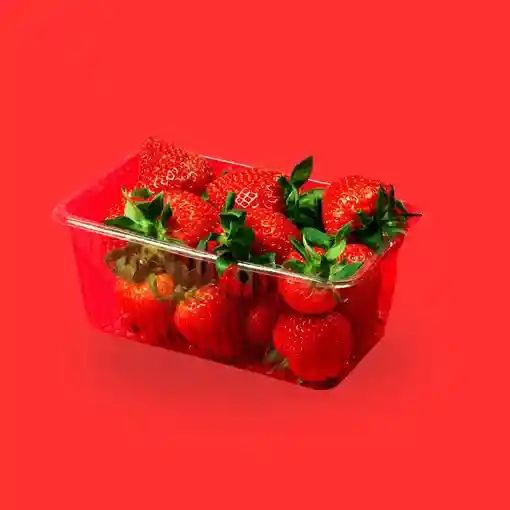 Fresas Premium - Fruberries