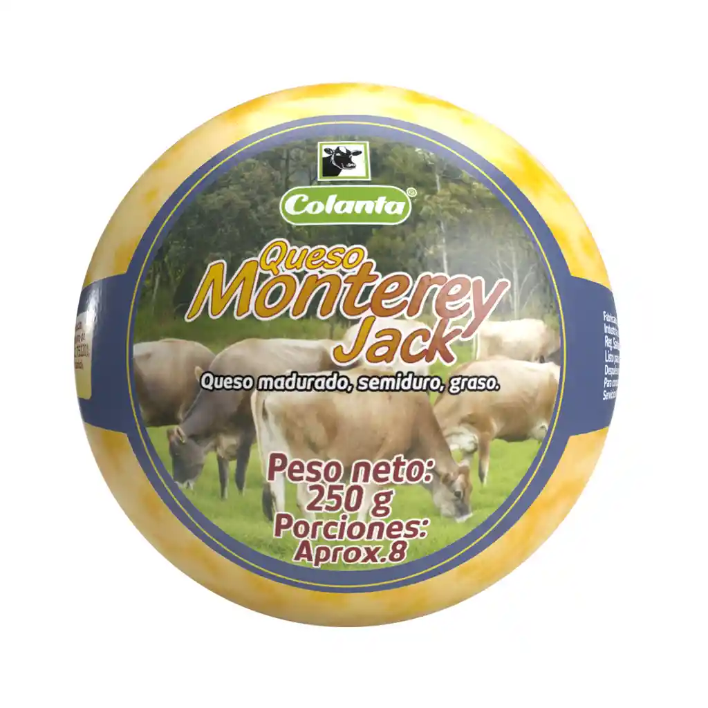 Queso Tipo Monterey Jack Colanta x 250 g