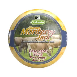 Queso Tipo Monterey Jack Colanta x 250 g