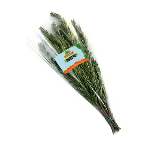 Romero Fresh Aromatic