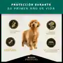 Comida para Perros cachorros razas medianas Purina Pro Plan x 3 kg