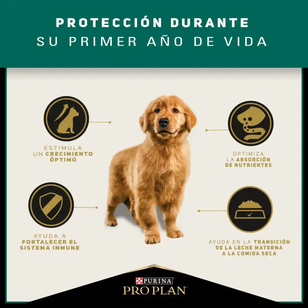 Comida para Perros cachorros razas medianas Purina Pro Plan x 3 kg