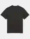 Camiseta Hombre Gris Talla LARGE 4290008 American Eagle