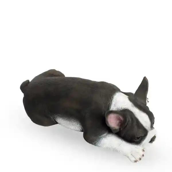 Perro Boston Terrier Ambiente Gourmet