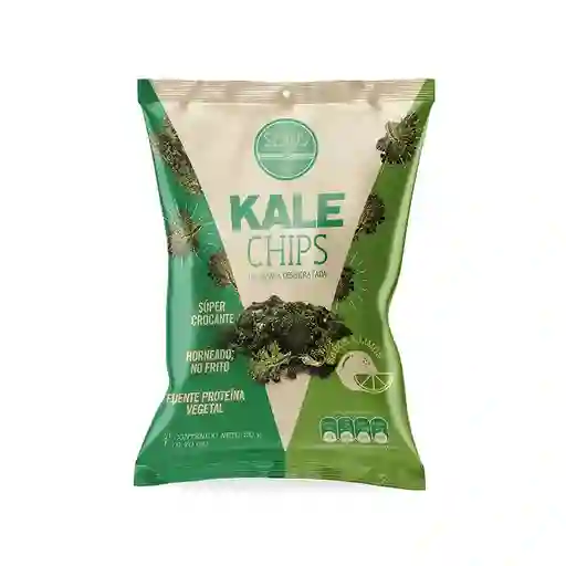 Kale Chips de Col Rizada Deshidratada Sabor Limón Horneado