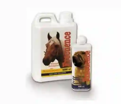 Frecuence Shampoo Equino X 2Lt