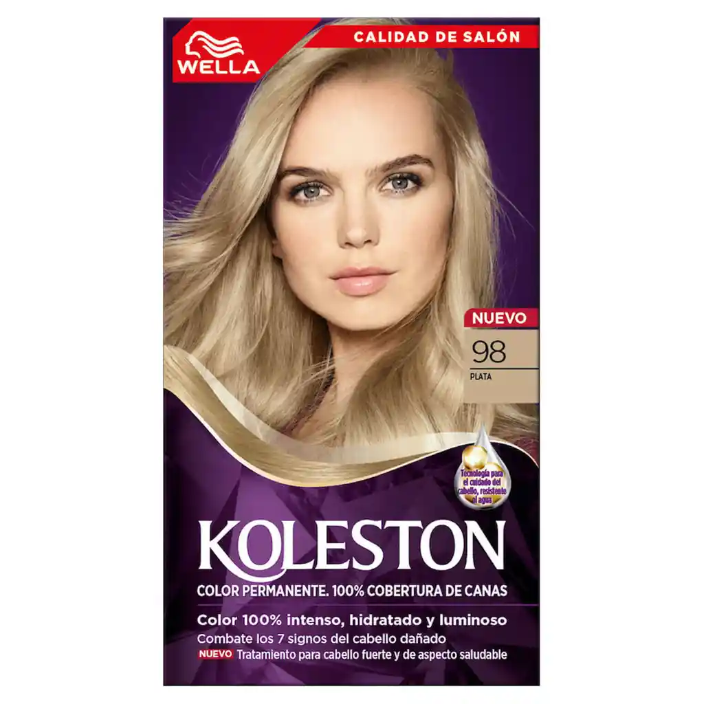 Koleston Tinte
