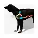 Zeedog Arnés Para Perro Jumper Softwalk Talla L