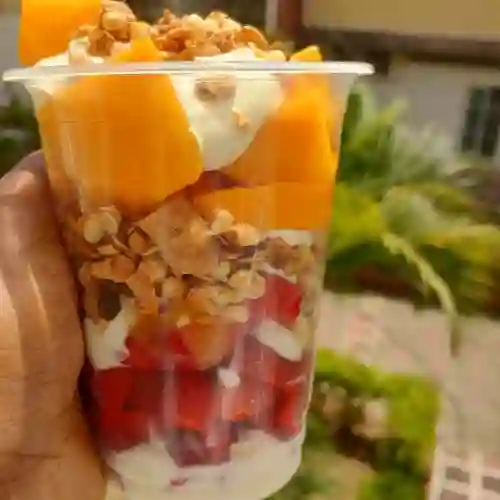 Copa Fitness