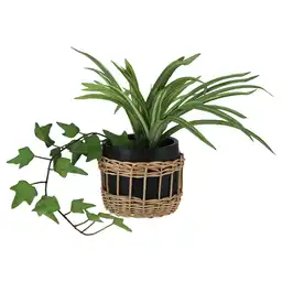 Maceta Planta Cera Diseño 0004 Casaideas