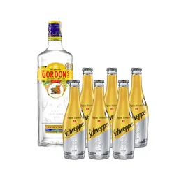 Combo Ginebra Gordons + Tónica Schweppes 300 mL