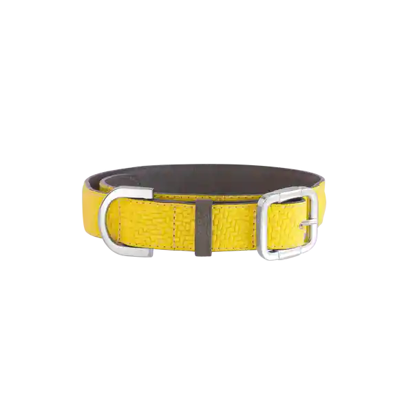 Gdog.Col Collar Amarillo Mediano