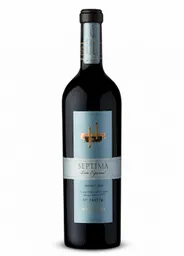 Septima Vino Tinto Lote Especial Reserva Malvec