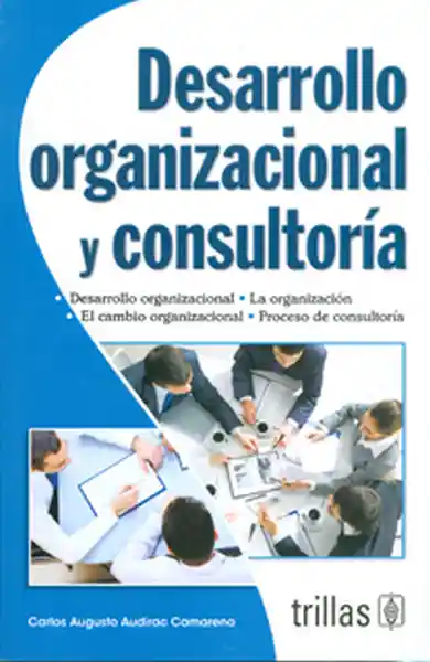 Desarrollo Organizacional y Consultoría