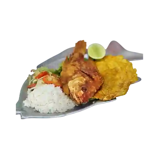 Tilapia Frita