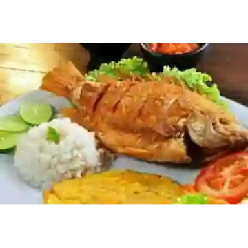 Mojarra