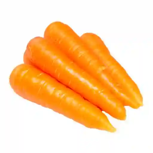Zanahoria