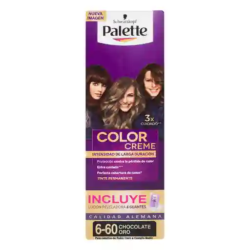 Palette Tinte Capilar Permanente Color Creme 6-60 Chocolate Oro
