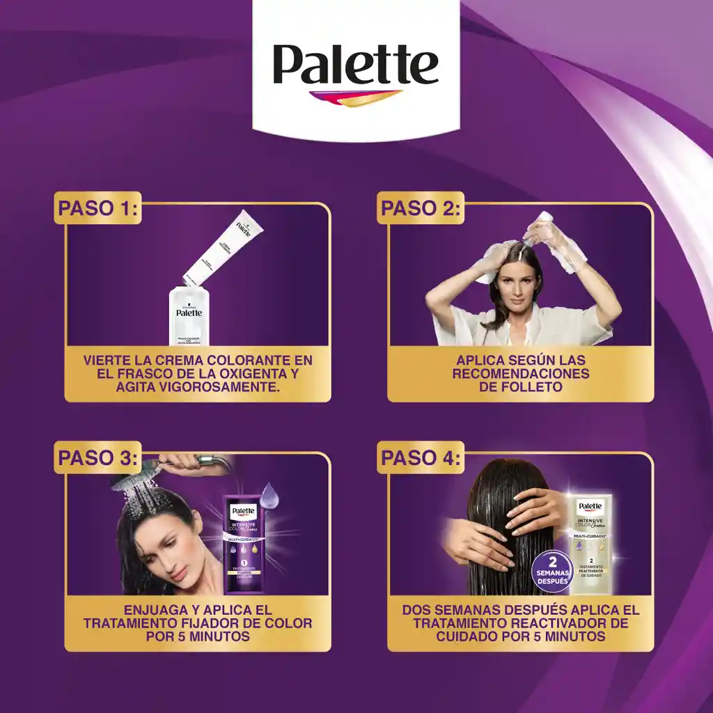 Tinte Palette Color Creme 6-65 Rubio Vainilla