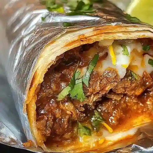 Birria burrito