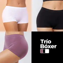 Trio Bóxer Cachet Para Mujer Uva 1s5984