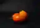 Tomate de Árbol