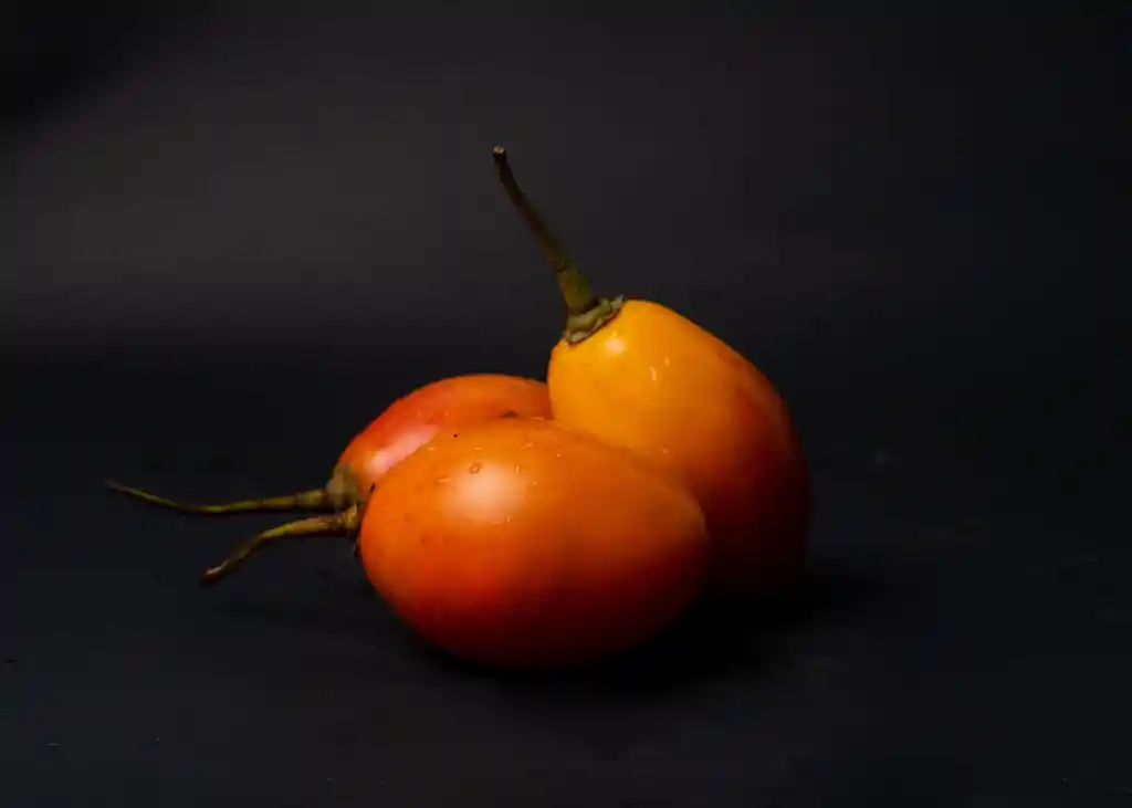 Tomate de Árbol