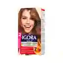 Tinte Igora Vital 6-34 Chocolate Dorado