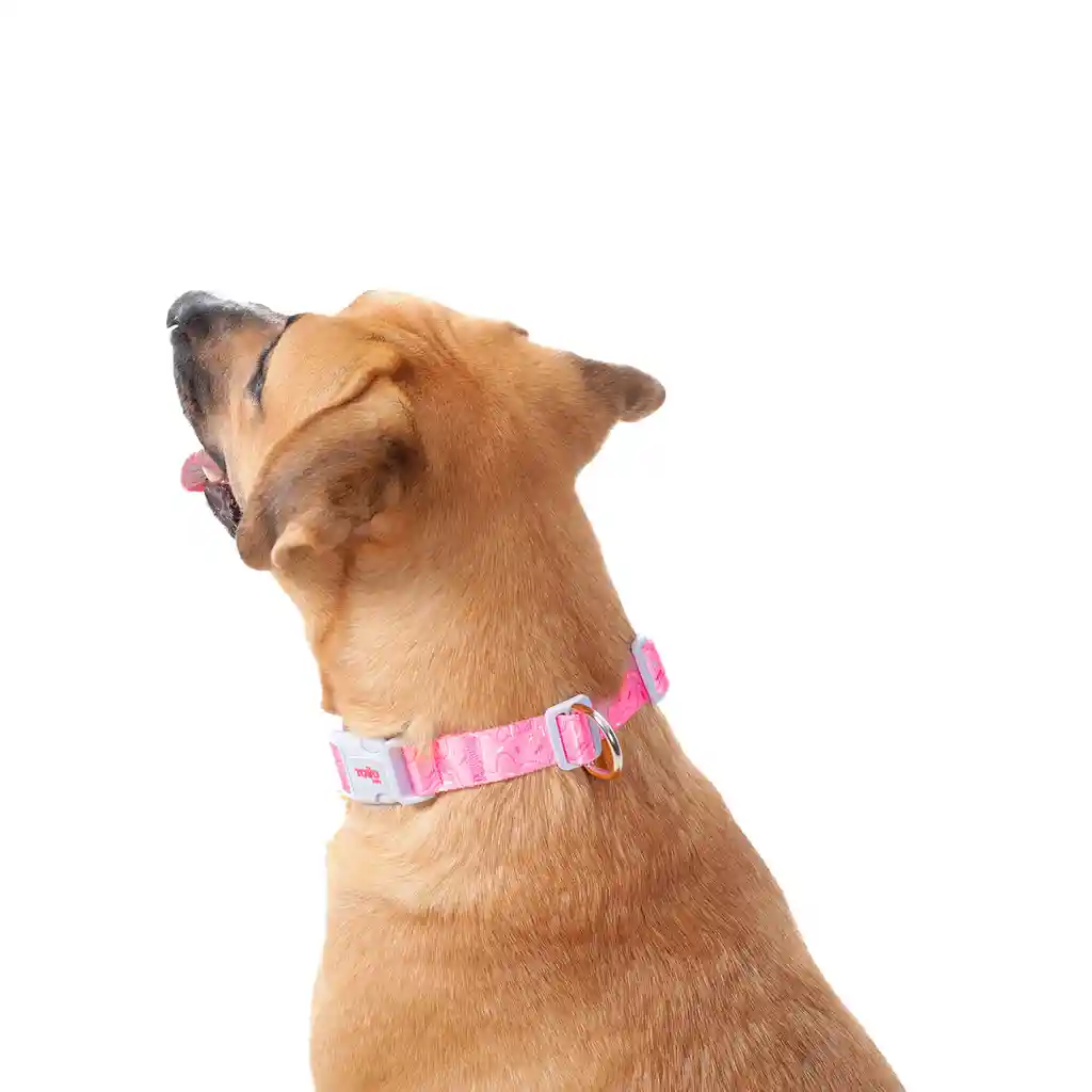 Collar Ajustable Para Perro Mylu M Rosada