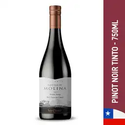 Castillo de Molina Vino Tinto Pinot Noir Reserva Botella 750 ml